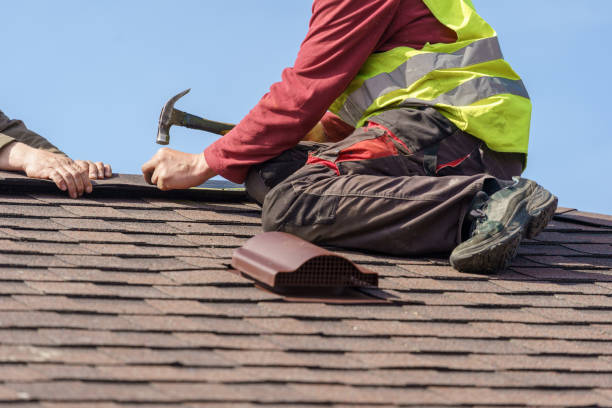 Best Flat Roof Repair Services  in Ithaca, MI