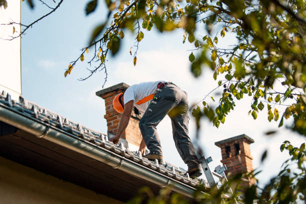 Best Best Roofing Contractors  in Ithaca, MI