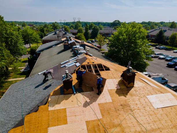 Best Commercial Roofing Services  in Ithaca, MI